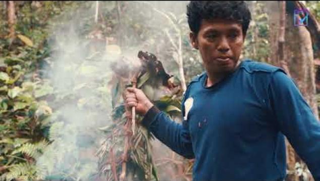 Embedded thumbnail for TELUSUR PEMBURU MADU PELAWAN