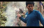 Embedded thumbnail for TELUSUR PEMBURU MADU PELAWAN
