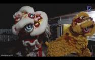 Embedded thumbnail for TEMU BUDAYA BARONGSAI