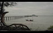 Embedded thumbnail for MANGROVE GUSONG BUGIS - BELITUNG